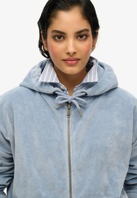 Sudadera azul clara con una textura suave, cierre de cremallera, capucha con cordón y logo bordado en el pecho. Camisa de rayas visible debajo.