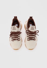 Steve Madden Baskets basses - ivy sepia