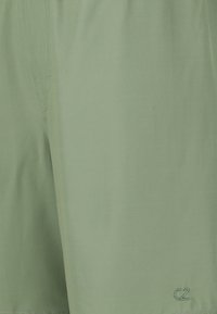 Ljusgröna shorts i slätt tyg med en subtil lyster. Har sydda detaljer och en liten broderad logotyp i nedre hörnet.