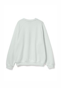 Felpa verde menta chiaro con vestibilità comoda. Presenta maniche raglan, polsini a costine e scollo rotondo. Tessuto morbido al tatto.