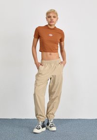 Dickies MAPLE VALLEY  - Tricou cu imprimeu - mocha bisque