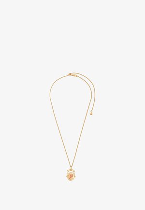 Zlatý náhrdelník s okrúhlym príveskom, ktorý má červenú iniciálu a dekoratívne akcenty. Reťaz má sponu s predĺžením na úpravu dĺžky.