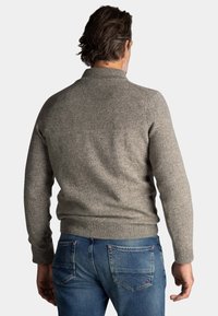 Grijze gebreide trui met een hoge kraag, aansluitende mouwen en een gemêleerde afwerking, gecombineerd met blauwe denim jeans. Bekijk vanuit de achterkant.