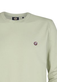 Lichtgroene sweatshirt met een geribde ronde hals en lange mouwen. Heeft een klein, rond logo op de linkerborst in donkerrood en wit.