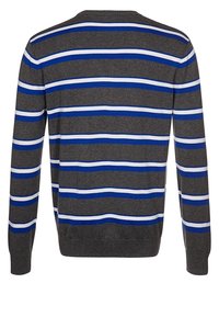 Dunkelgrauer Langarmpullover mit abwechselnden blauen und weißen horizontalen Streifen, von hinten gezeigt.