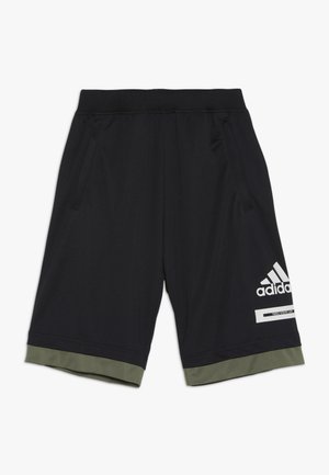 BOLD - Pantalón corto de deporte - black/legend green/white