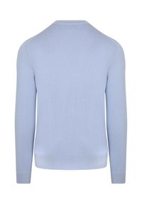 Hellblaues, langärmliges Sweatshirt mit rundem Halsausschnitt und gerippten Bündchen und Saum. Geschmeidige Textur, einfaches Design ohne sichtbare Muster oder Akzente.