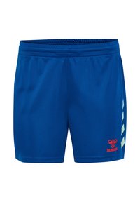 Blaue Sportshorts aus leichtem Material, mit einem elastischen Bund und einem kontrastierenden hellblauen Chevron-Muster an den Seiten sowie einem roten Logo-Detail.