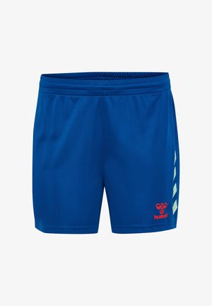 Blaue Sportshorts aus leichtem Material, mit einem elastischen Bund und einem kontrastierenden hellblauen Chevron-Muster an den Seiten sowie einem roten Logo-Detail.