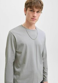 Lange mouw lichtgewicht shirt in lichtgrijze stof met een ronde halslijn en een subtiele glans. Bevat een zilveren ketting halsketting.