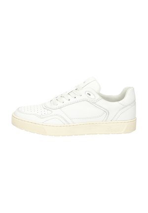 TED - Sneakers laag - weiß