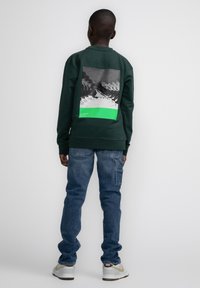 Petrol Industries STEVENSVILLAGE - Sweater - bottle