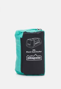 Patagonia BLACK HOLE DUFFEL 40L UNISEX - Matkakassi - schwarz