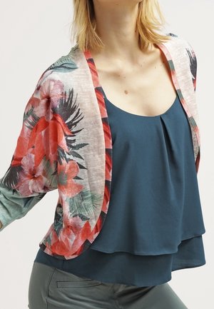 Gilet - multi-coloured