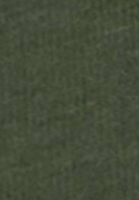 camel active HENLEY - Langærmet T-shirt - leaf green