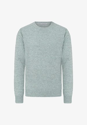 Light green knitted sweater with a round neckline, long sleeves, and ribbed cuffs. Textured fabric with a subtle pattern throughout.