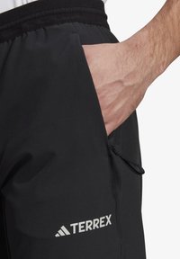 adidas Terrex TERREX LITEFLEX HIKING - Jogginghose - black