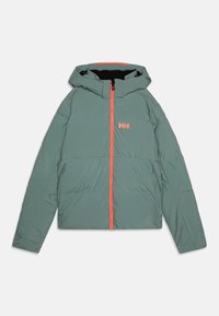 Unausgewählt, cactus