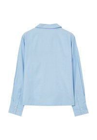 Camicetta azzurro chiaro a maniche lunghe con colletto a punta, caratterizzata da polsini con bottone e una texture liscia. La vista posteriore mostra un design semplice.