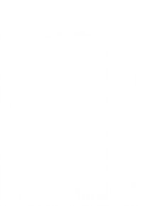 Verstelbare bureaustoel met een zwarte mesh-zitting en rugleuning, ergonomisch ontwerp, vijf wieltjes en armleuningen voor comfort en mobiliteit.