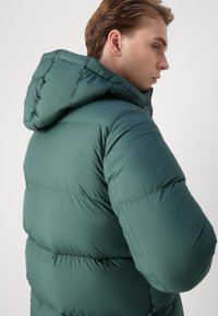 Colmar Originals MENS - Pūkinis paltas - bottle