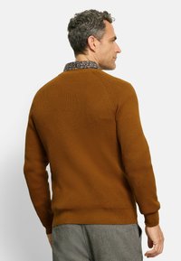 Brauner, strukturierten Pullover mit Strickmuster, gerippten Ärmeln und rundem Halsausschnitt. Über einem gemusterten Hemd mit dunkler Kragen getragen.