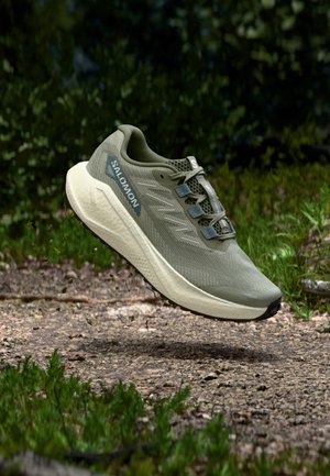 AERO BLAZE 3 GRVL - Bėgimo bateliai, skirti nelygiam paviršiui - tea/vanilla ice/deep lichen green