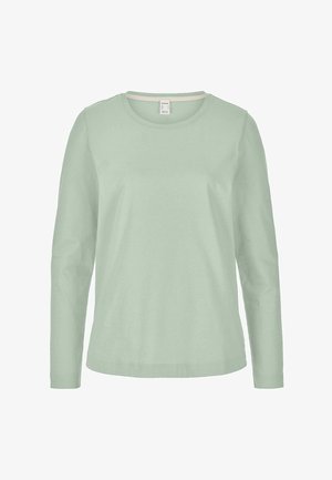 Light green, long-sleeve crewneck shirt with a straight hem and simple, seamless design.