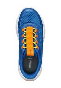 Sneaker blu con tomaia in mesh, lacci arancioni e gialli, colletto imbottito, soletta testurizzata e suola in gomma bianca. Visibile il marchio Geox.