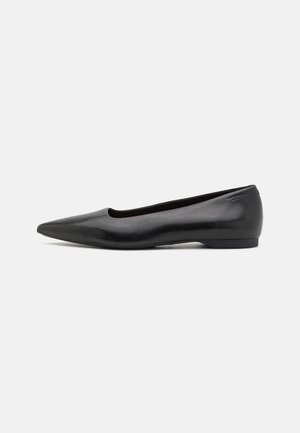 Black leather ballet flat with a pointed toe and minimal design. Smooth texture, low heel, and subtle brand logo on the back.