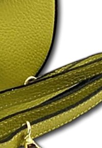 Groene leren accessoire met een gestructureerde afwerking, voorzien van een zwarte accentstrook en een klein metalen hardwarelusje.