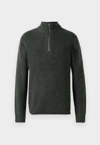 JORBLEECKER HALF ZIP - Πουλόβερ - forest river