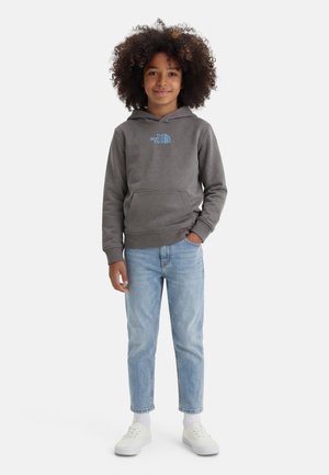 LIQUID LOGO REGULAR GRAPHIC - Mikina s kapucňou - smoked pearl