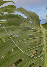 Silberne, gedrehte Kettenhalskette auf einem großen, grünen Monstera-Blatt mit ausgeprägten Ausschnitten drapiert, die sowohl Textur als auch Kontrast zur Geltung bringen.