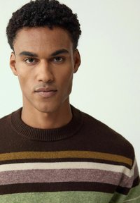 Knit sweater featuring a round neckline, stripes in brown, green, purple, and cream, with a textured fabric and a fitted silhouette.