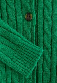 Green knitted cardigan with cable pattern, ribbed cuff, and a large round dark button near the top center.