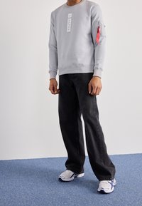 Alpha Industries Sudadera - light grey