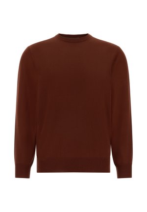 Rudas megztinis su apvaliu iškirpimu, ilgomis rankovėmis ir raištinėmis rankogaliais. Lygus paviršius be matomų raštų ar akcentų.