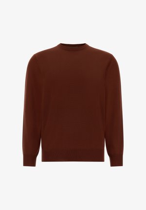 Brūns adīts džemperis ar apaļu kaklu, garām piedurknēm un ribinātām aprocēm. Gluda tekstūra bez redzamām rakstiem vai akcentiem.