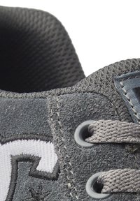 DC Shoes CHELSEA - Träningsskor - dark grey