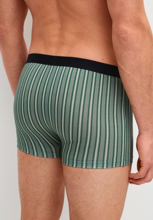 Calida, MEN BOXER BRIEF 3 PACK - Kurze Boxershorts - agave green