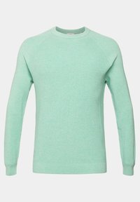 Maglione a maglia a coste verde chiaro con maniche lunghe e scollo rotondo. Presenta una silhouette aderente e una texture liscia. Senza loghi visibili.