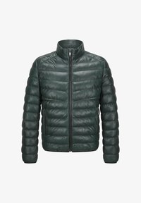 Unausgewählt, dunkelgrün