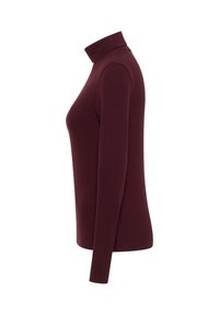 Bordeauxroter Langarm-Rollkragenpullover aus Rippenstoff, mit tailliertem Schnitt und glatter Textur. Keine sichtbaren Logos oder Muster.