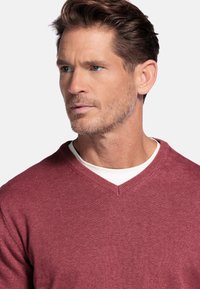 V-hals trui van diep bordeaux gebreid stof, met een geribbelde halslijn en een gladde textuur, gedragen over een wit shirt.