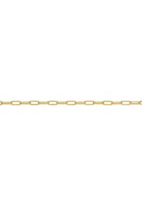 La catena d'oro presenta anelli ovali allungati, una texture liscia e un motivo coerente, adatta per vari utilizzi in gioielleria.