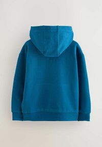 Teal katoenen hoodie met een grote capuchon, ribbelmanchetten en zoom, met een gladde textuur en een ontspannen pasvorm, gezien vanuit de rug.