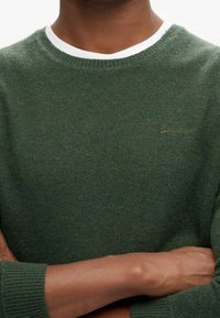 Pull en tricot vert avec un col rond et un accent blanc, des poignets côtelés et un petit logo brodé sur la poitrine.