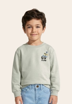 Băiat tânăr cu păr maro, purtând un hanorac verde deschis cu textul „Go Slow” și grafică, asortat cu blugi albastru deschis, zâmbind pe un fundal bej.