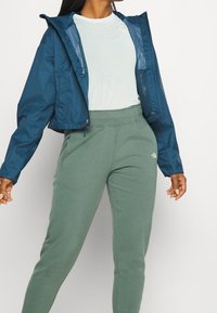 The North Face Tracksuit bottoms - green